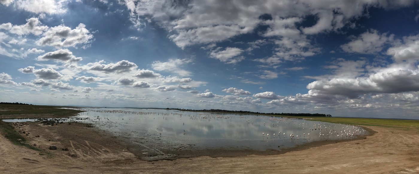 Zebra Plain Safari Camp - Amboseli hotel view 6